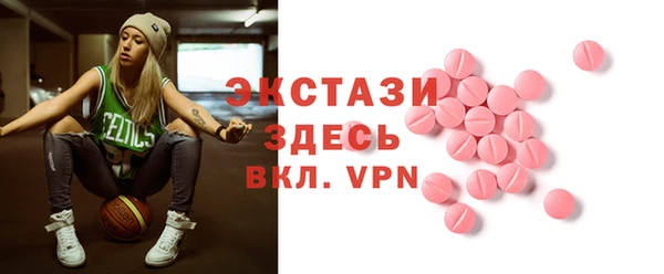 дживик Гатчина