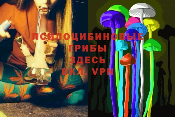 PSILOCYBIN Абинск