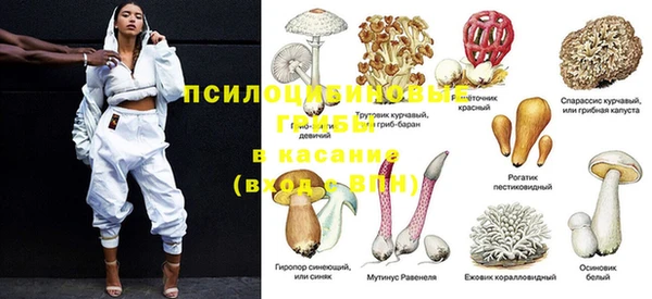 герыч Галич