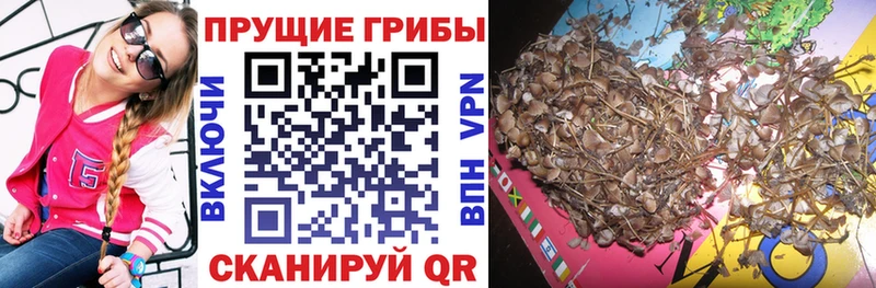 ОМГ ОМГ сайт Сальск Галлюциногенные грибы ЛСД